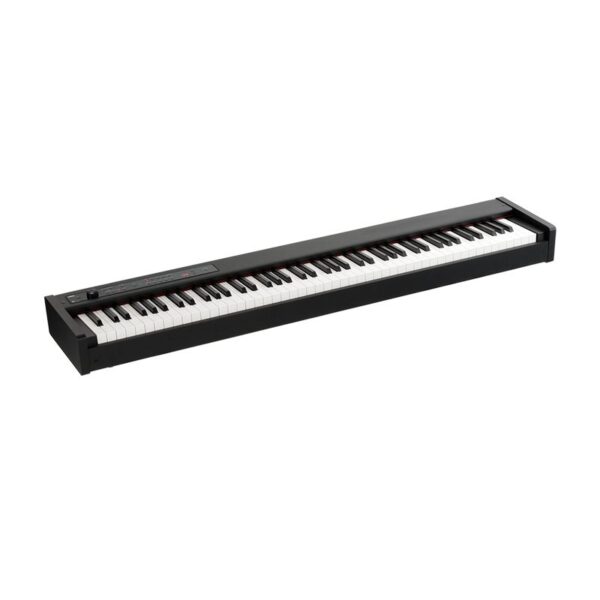 پیانو دیجیتال Korg D1 - Image 3