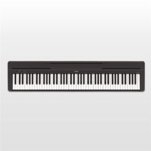 yamaha p48